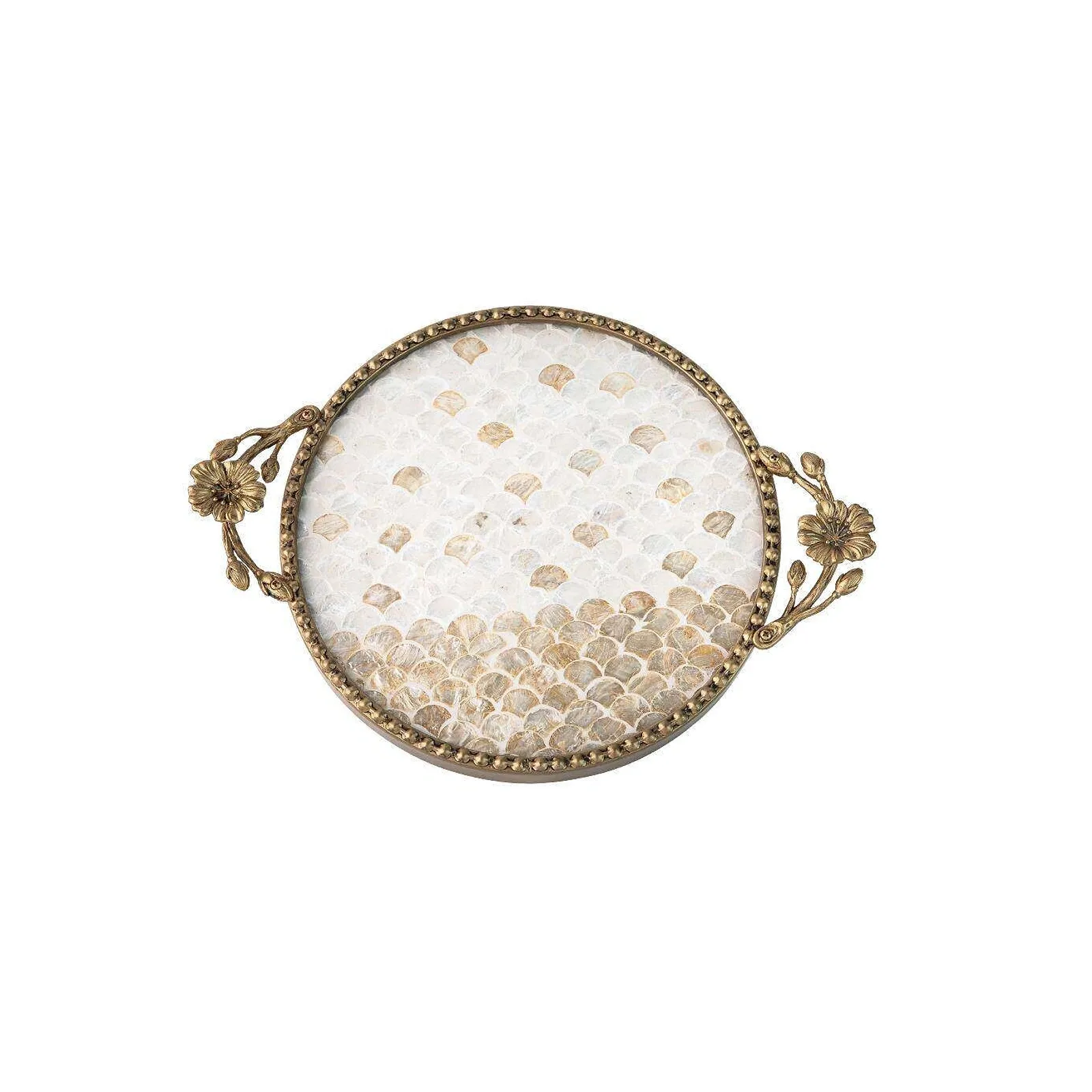 sku-f-scallop-shell