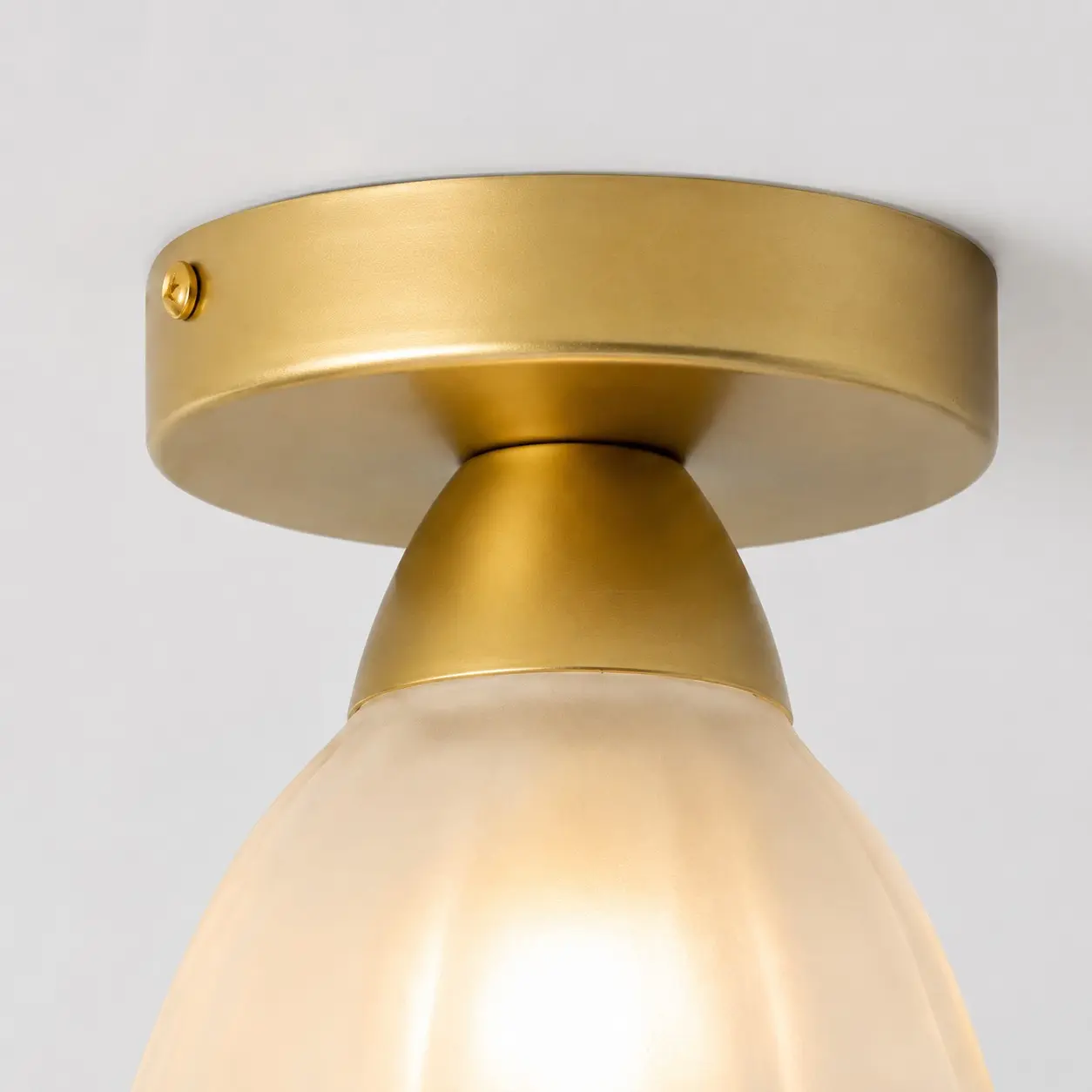 Gold finish ceiling canopy and fixing screw detail